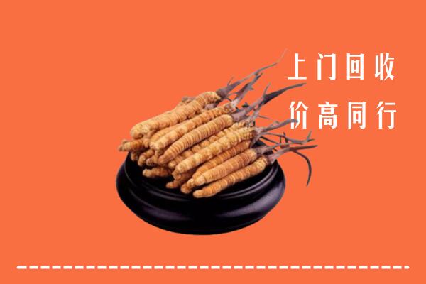 高价求购：庄浪县回收散虫草